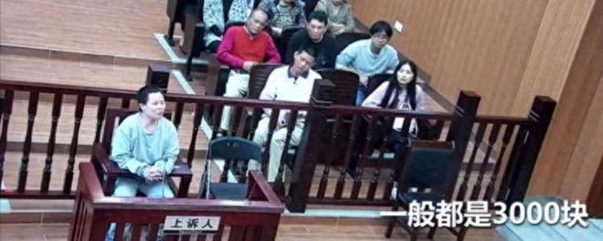 保姆陈宇萍被执行死刑前多次拒绝吃断头饭行刑时已浑身瘫软(图1)