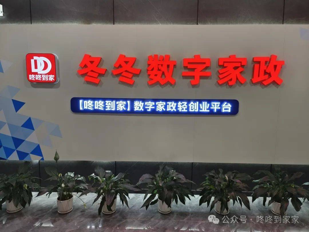 咚咚到家数字家政轻创业平台(图2)