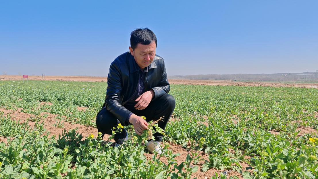 山东潍坊：解锁烟区新质生产力(图1)