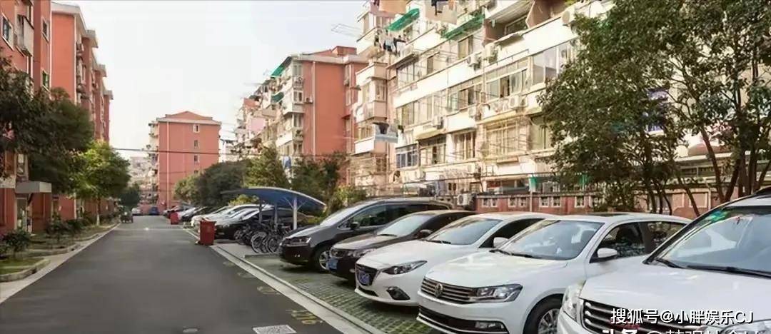 保洁大妈冒称正军级当街呵斥执法人员警方介入大妈摊上事了(图4)