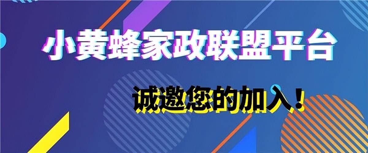 小黄蜂家政平台为什么越来越火爱体育入口(图4)