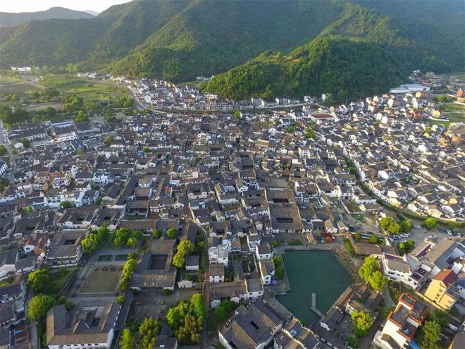 杭州保姆一声怒吼东家瞬间瘫软：我的355万元啊丨新闻早餐(图1)
