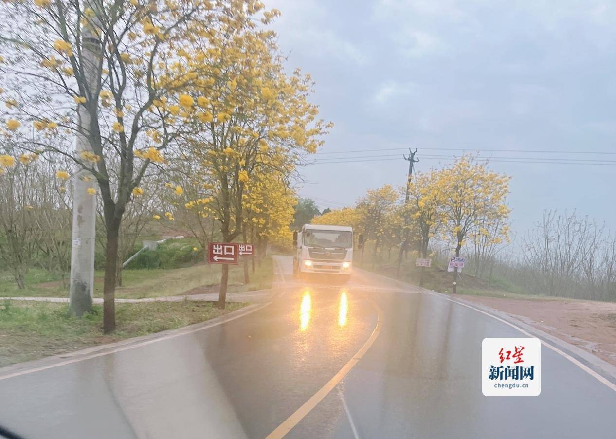 简阳环卫：深度冲洗保洁擦亮东麓花溪风景底色(图1)